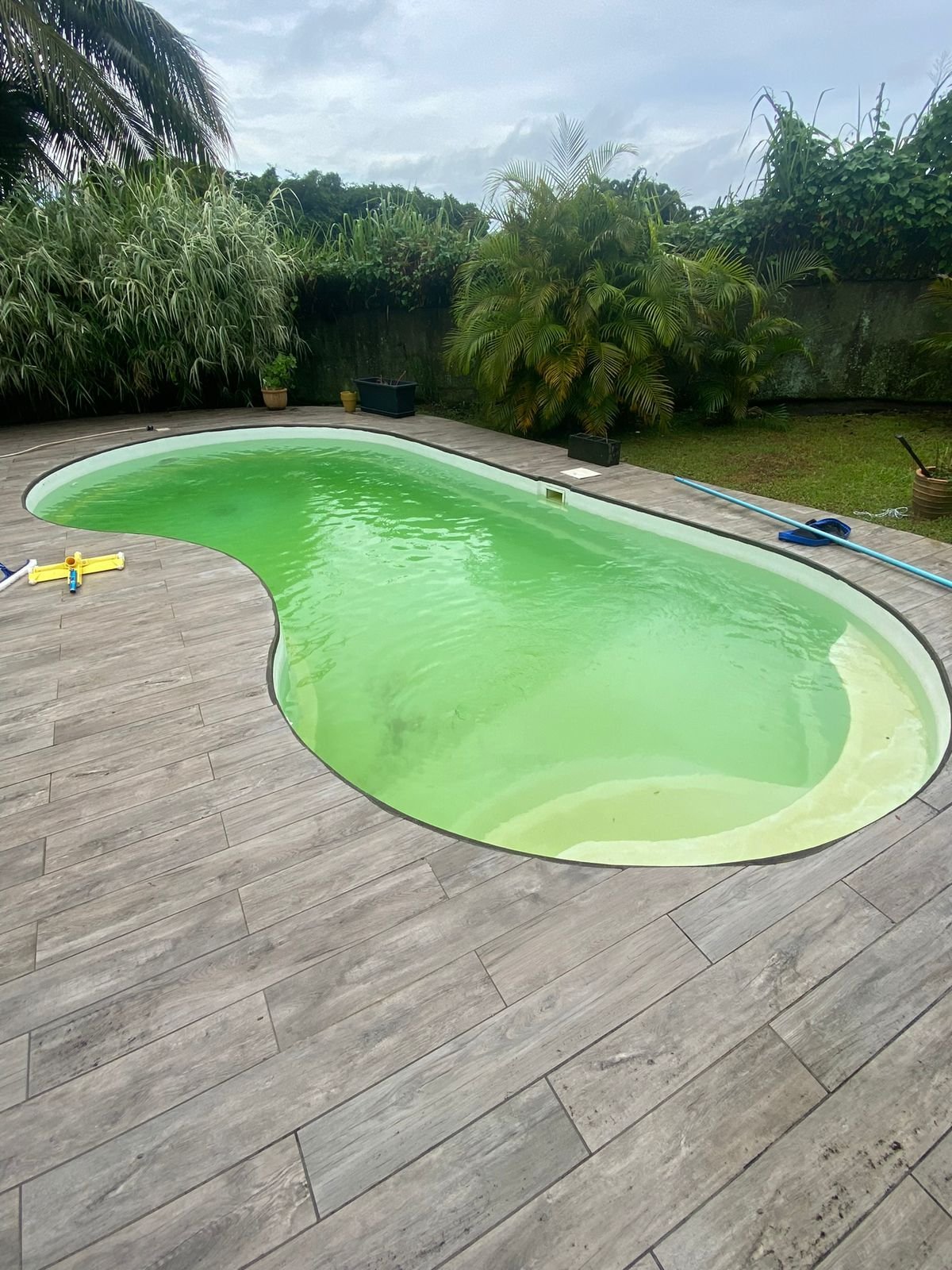 Piscine à l'eau verte avant intervention